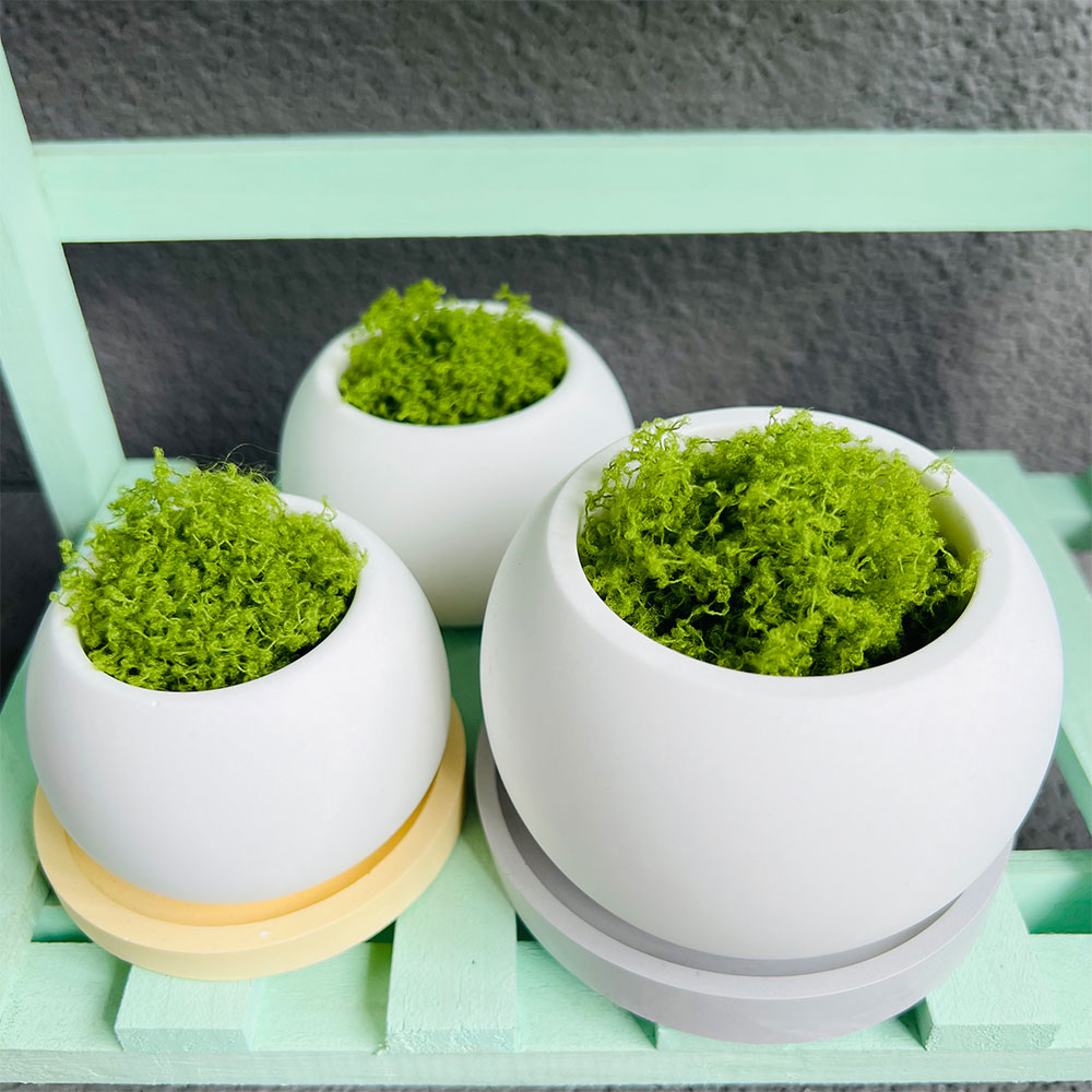 Spherical Flowerpot Silicone M - Potsticker Mold 评论和价格