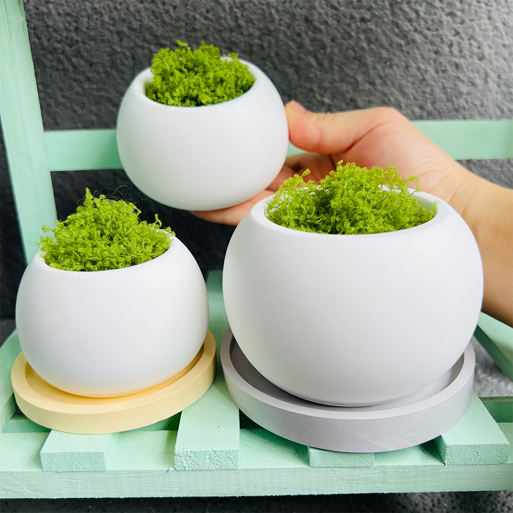 Spherical Flowerpot Silicone M - Potsticker Mold 评论和价格